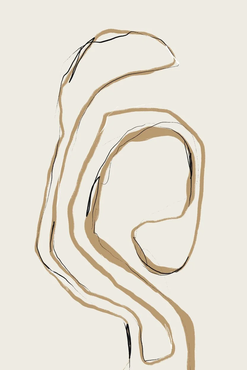 3233040.jpg