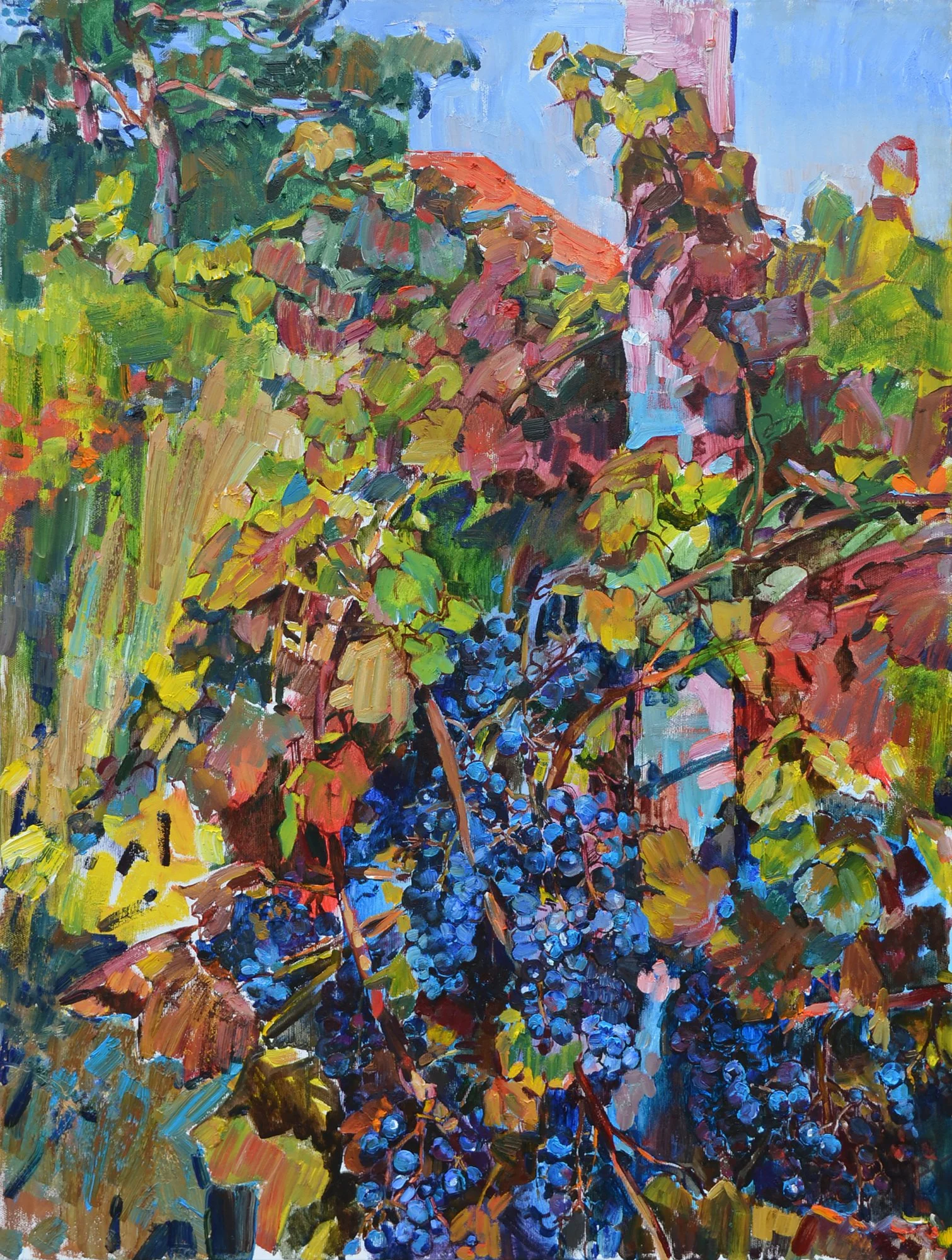 2989431.jpg