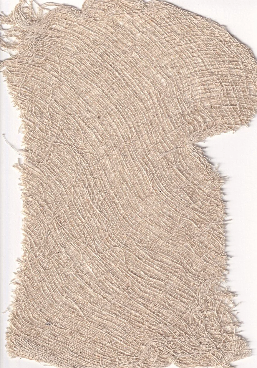 3206745.jpg