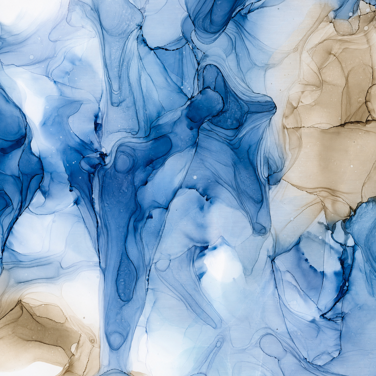 00f4c0e0-d978-4e77-ba58-d1e72fc2cf2a.png