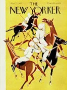 Polo.jpg