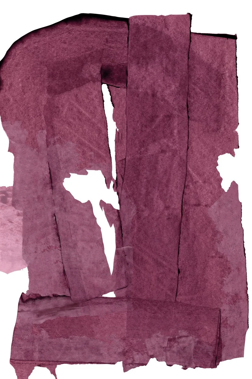 2946904.jpg