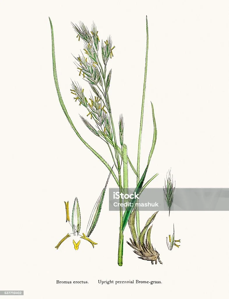 istockphoto-537715402-1024x1024.jpg