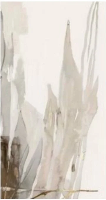 56 cropped.jpg