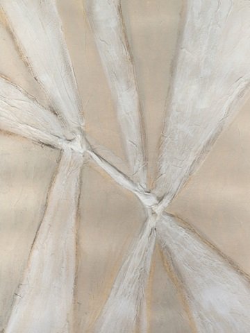 Twisting Chiffon WAG 2972485.jpg