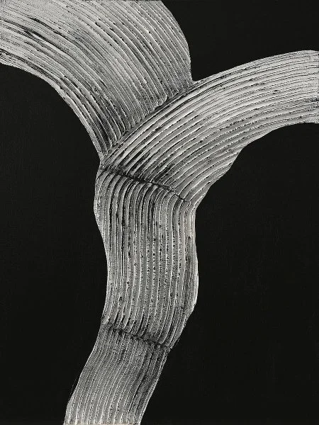 MF525-0152-raw-shape-2-15447.jpg