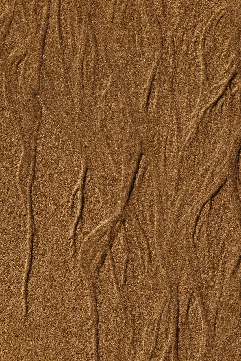 61 Sandy vein