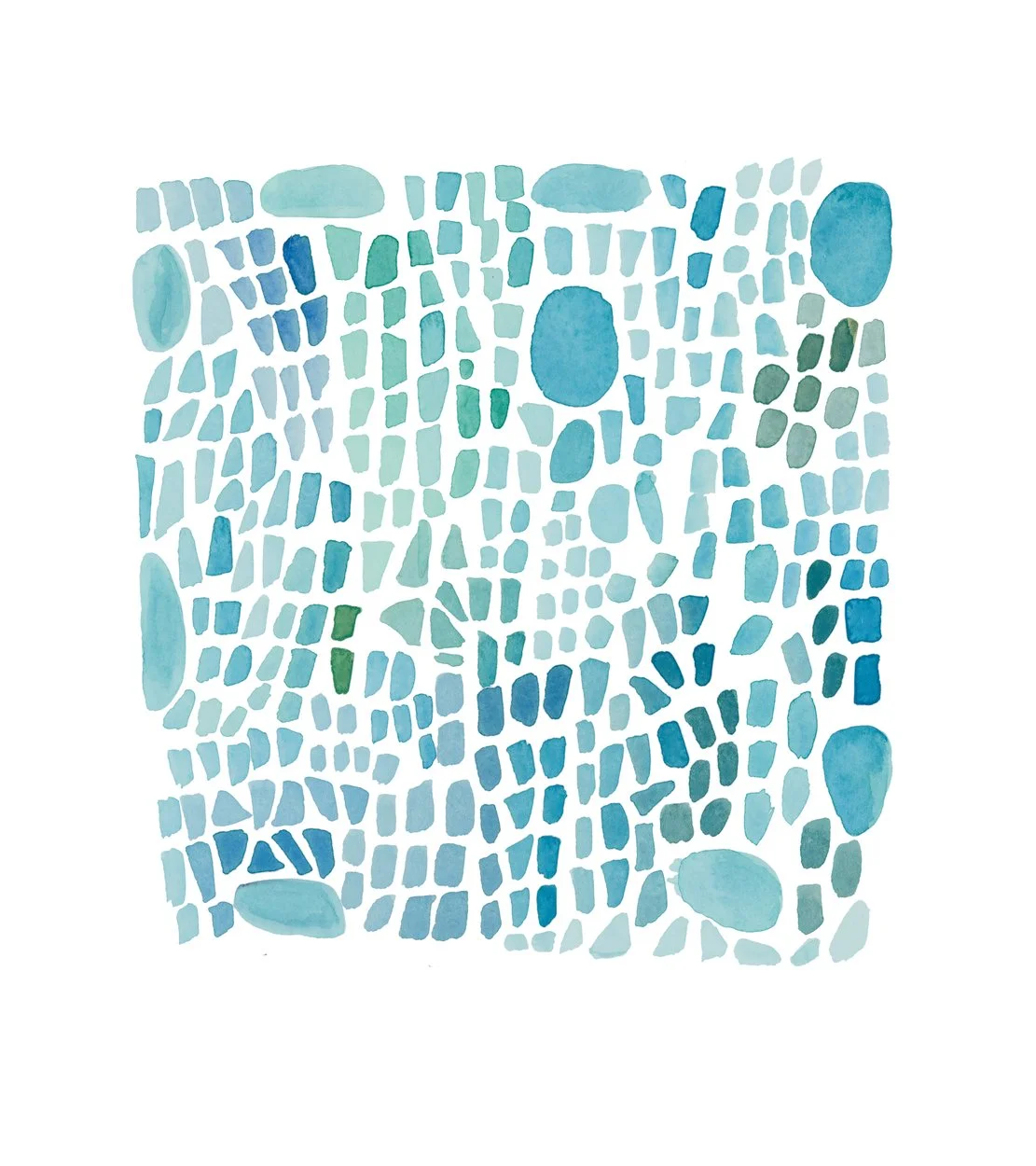 2513442.jpg