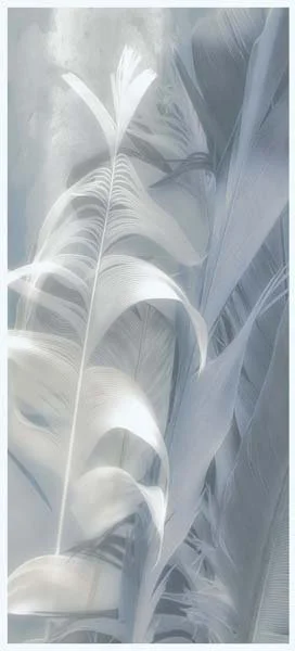 Light Blue Feathers PI NR740-A-12x27.jpg