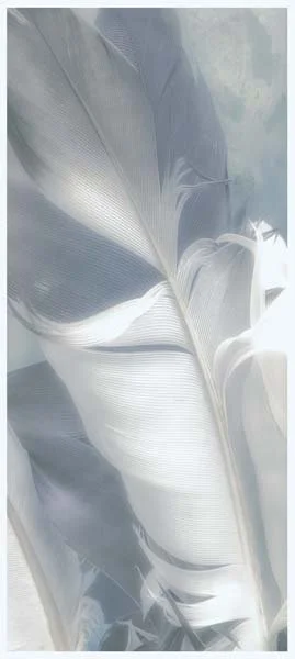 Light Blue Feathers PI NR741-A-12x27.jpg