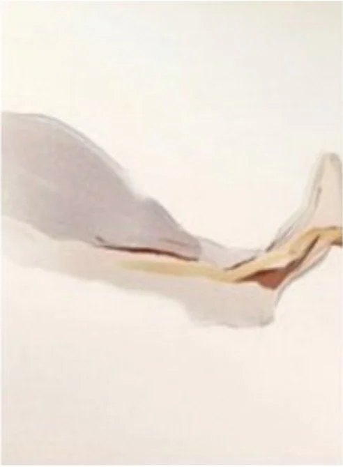 90 cropped.jpg