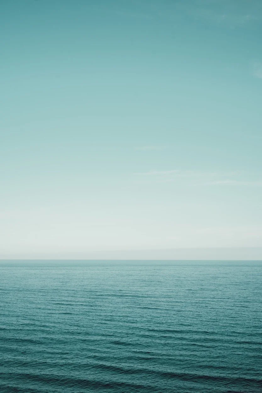 3609708.jpg