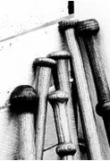 Vintage Bats.jpg