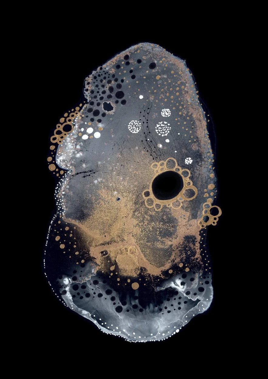 2666150.jpg