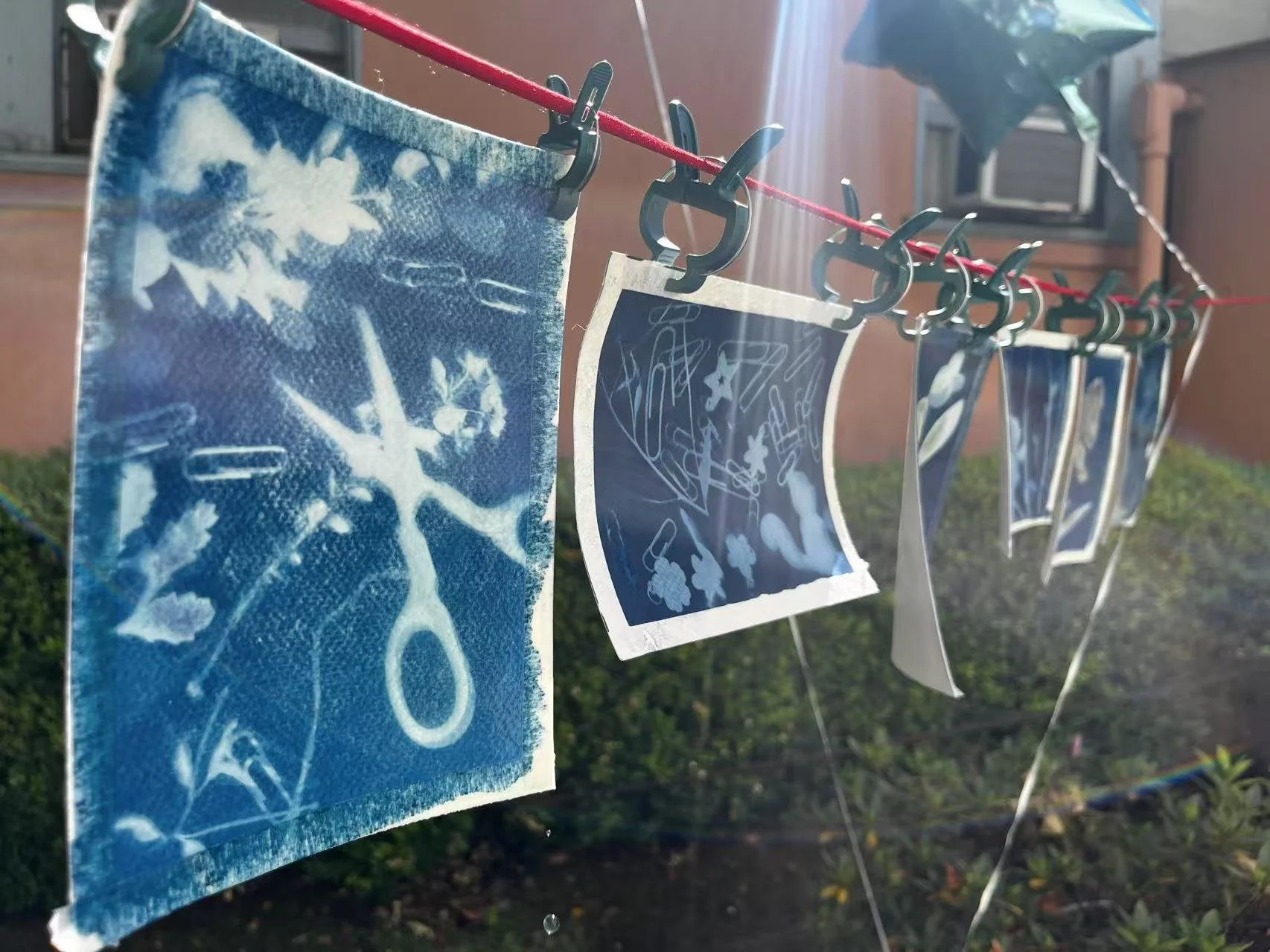 藍晒藝術 x STEAM 教育 Cyanotype x STEAM Education