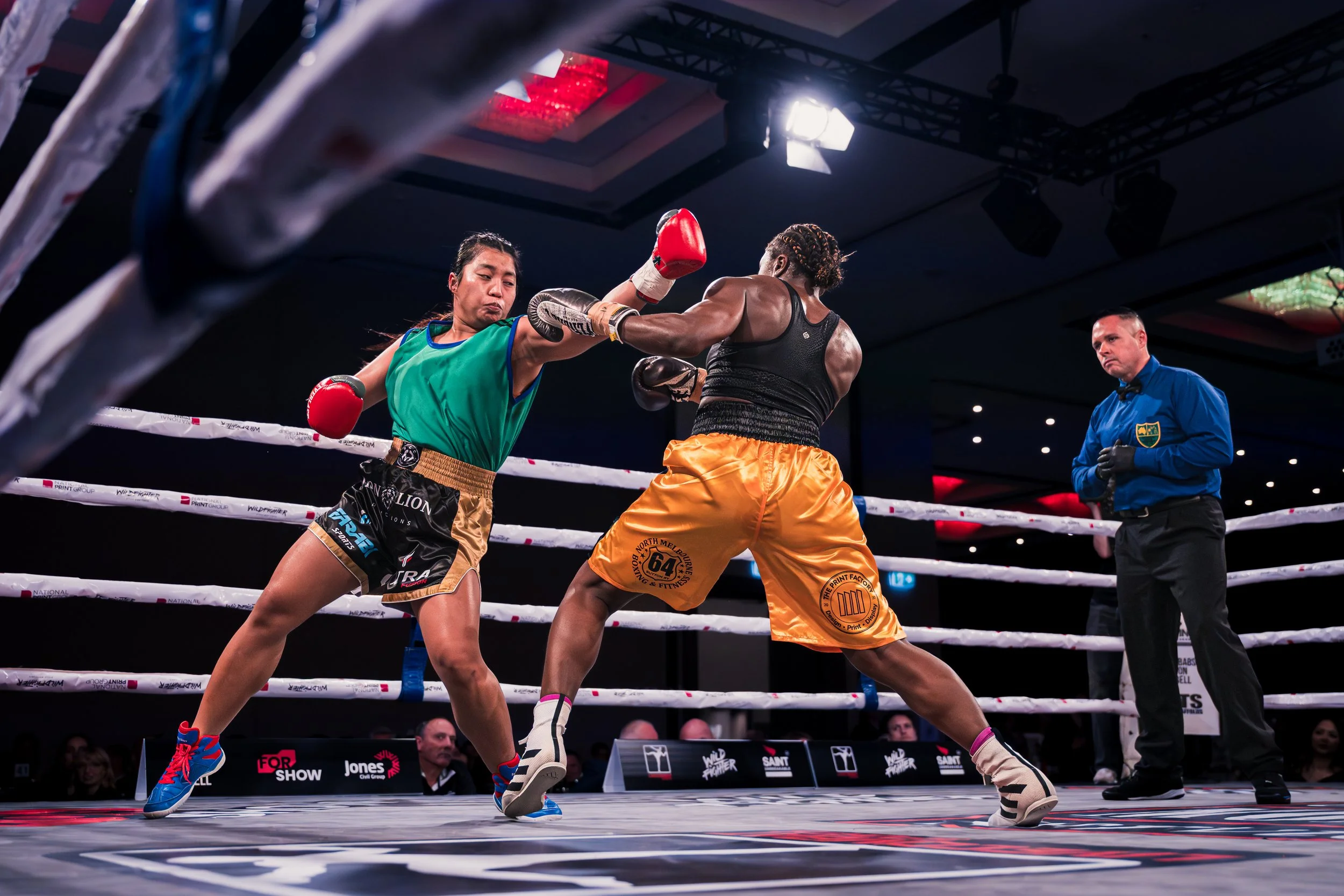 02084 Wildfighter.jpg