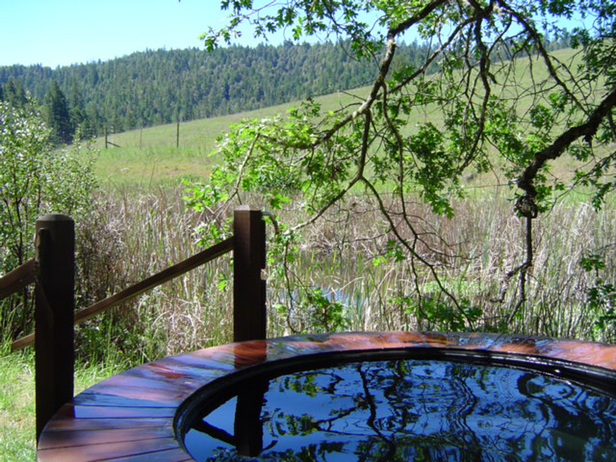 Women gathered outdoors for sacred ceremony at a divine feminine retreat in Northern California
