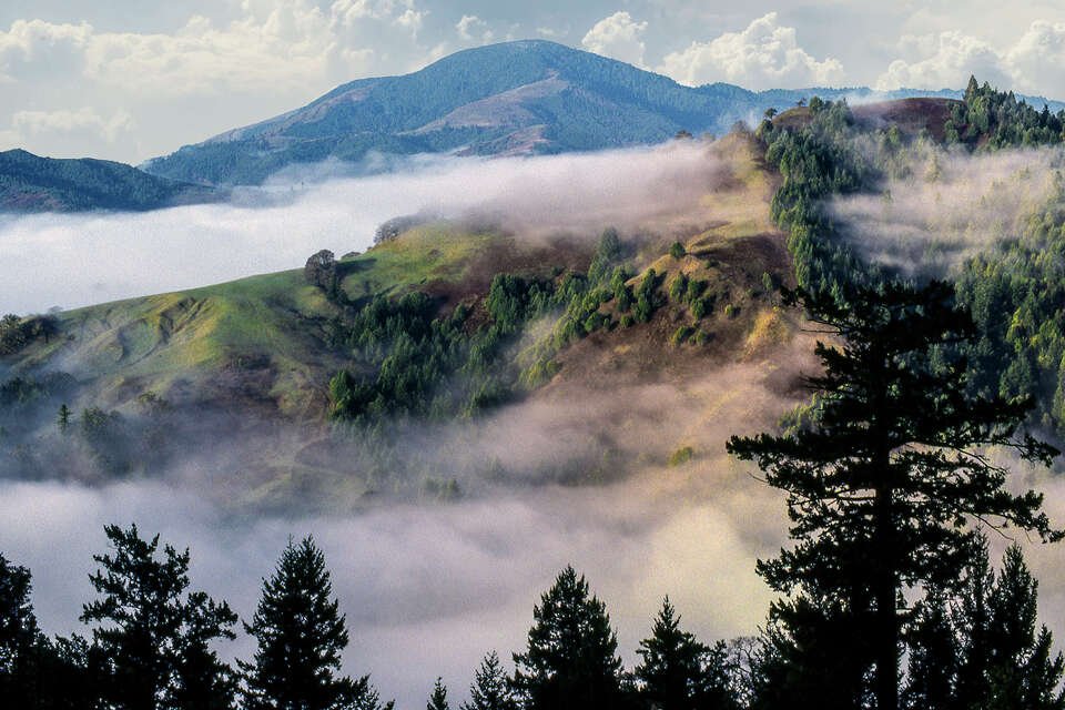 Mountain landscape surrounding Heartwood Mountain Sanctuary, home of The Temple Within women’s wellness retreat in Southern Humboldt County, Northern California.
