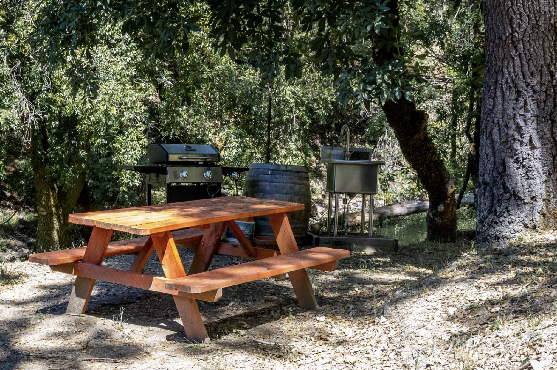 Tent & Car Camping ~ A beautiful way to immerse yourself in the wilderness experience. Enjoy full access to all retreat amenities, refrigerator, outdoor kitchens, shared indoor kitchen, stunning open-air showers, and clean toilets.