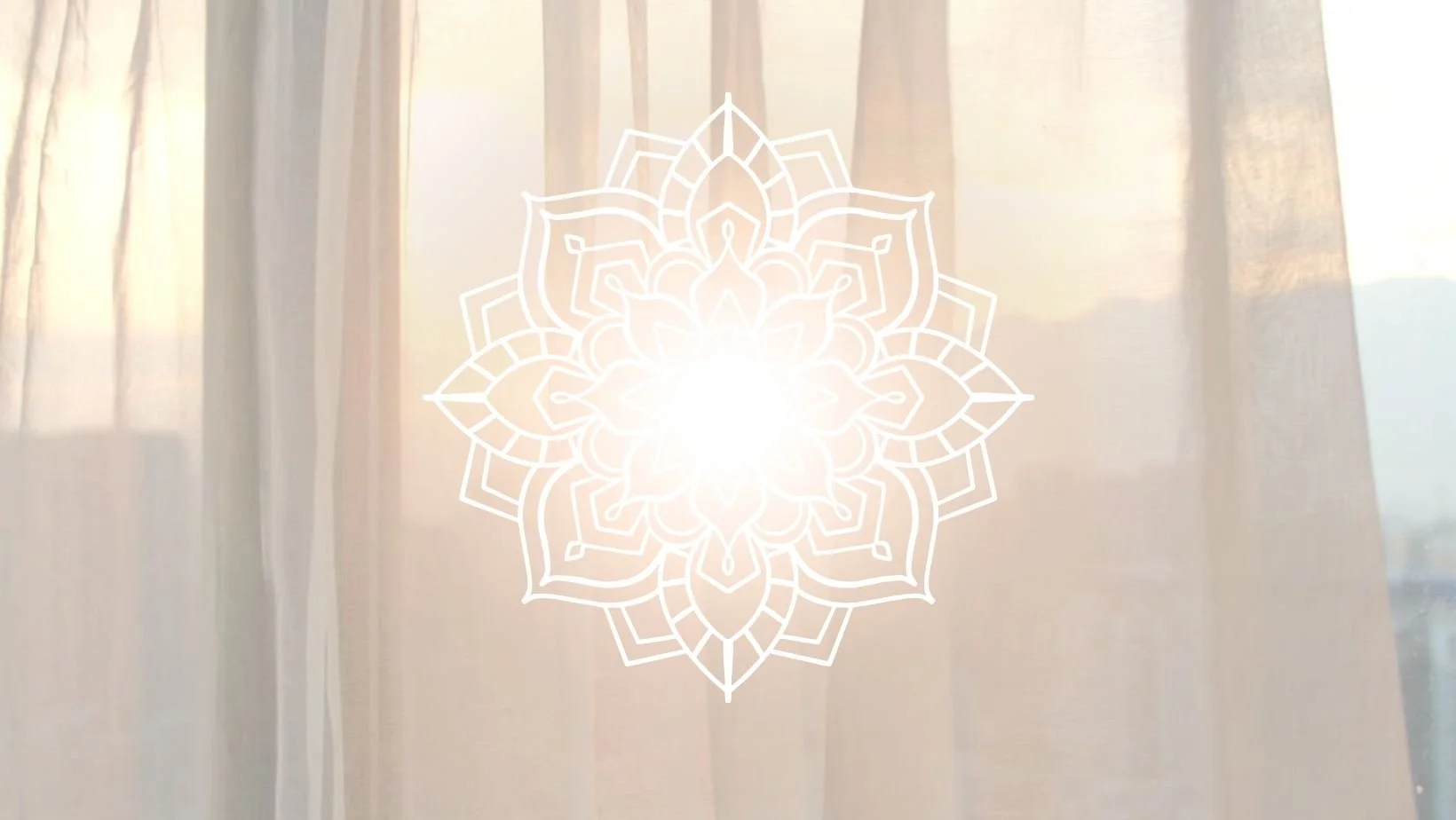 Herbalism and botanical medicine workshop teacher