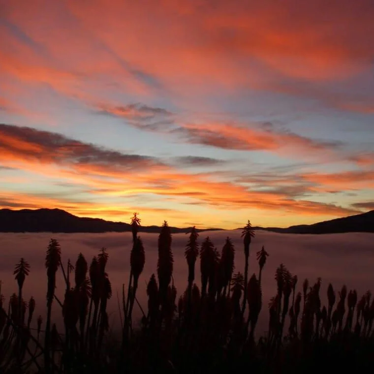 hw_sunsetview.jpg