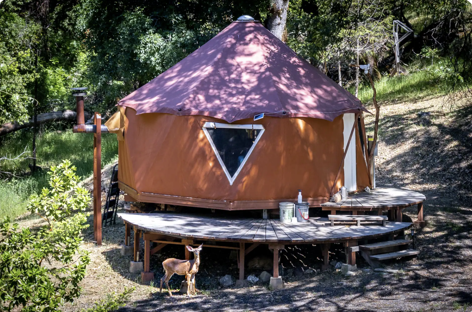 The Yome ~ A haven merging the best of dome and yurt. Embrace nature's embrace in its encircling design, fostering a deep sense of peace and connection. Soak in the starlit skies, rustling trees, and passing wildlife, enveloped in nature's embrace. 