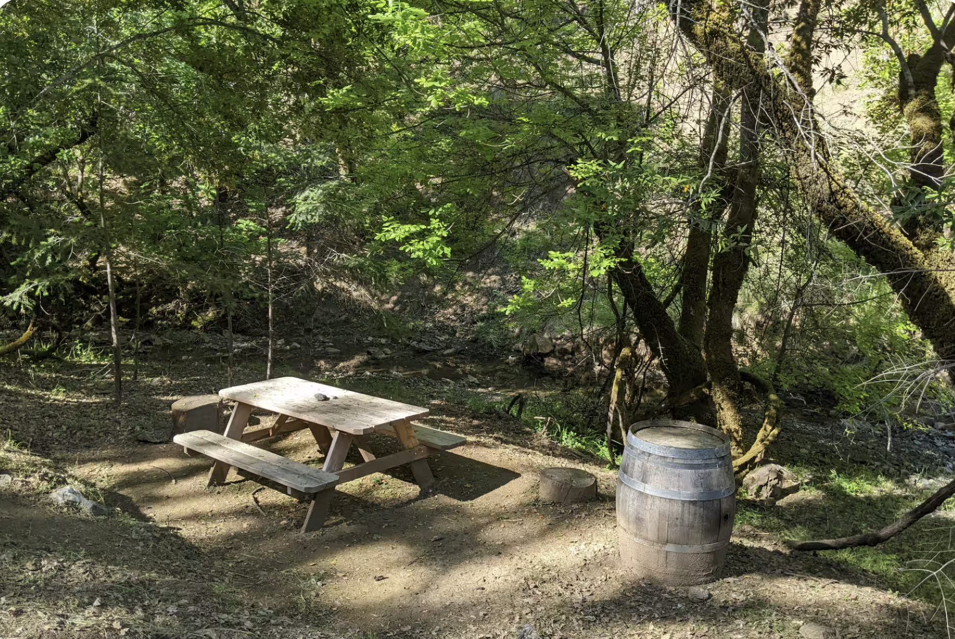 Tent & Car Camping ~ A beautiful way to immerse yourself in the wilderness experience. Enjoy full access to all retreat amenities, refrigerator, outdoor kitchens, shared indoor kitchen, stunning open-air showers, and clean toilets.