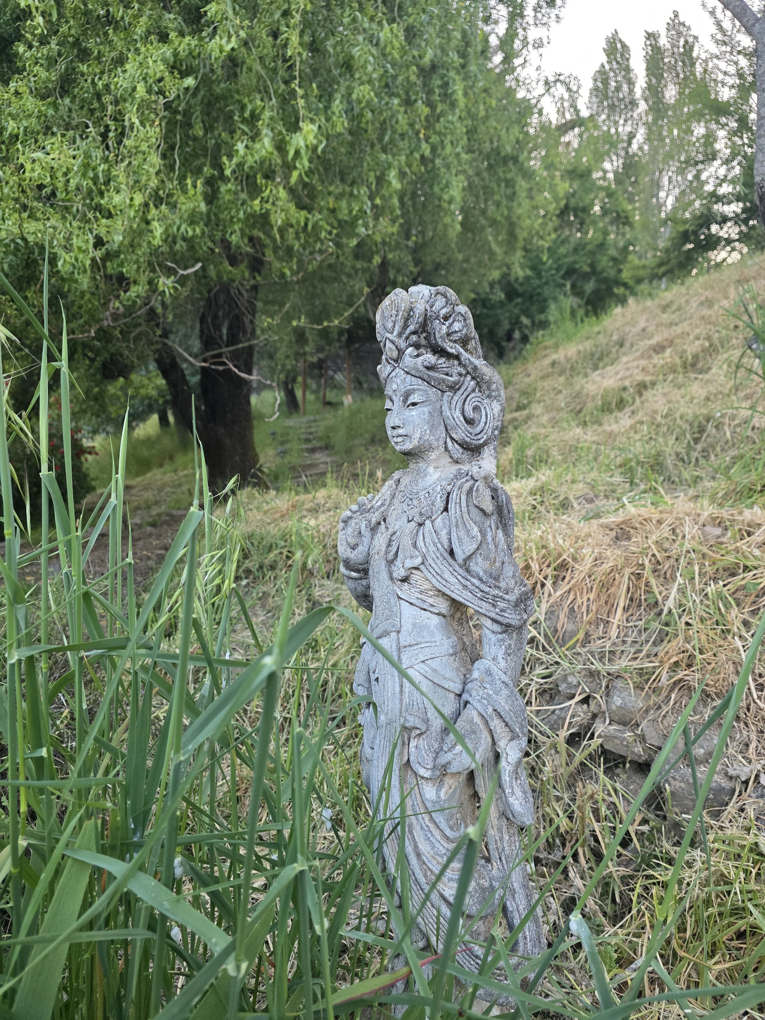 20260509_200357.jpg