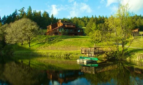 Holistic healing practices for women in nature at a retreat in the California redwoods