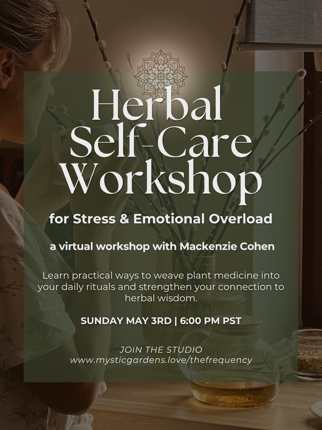 Herbal Self Care Workshop for Stress & Emotional Overload