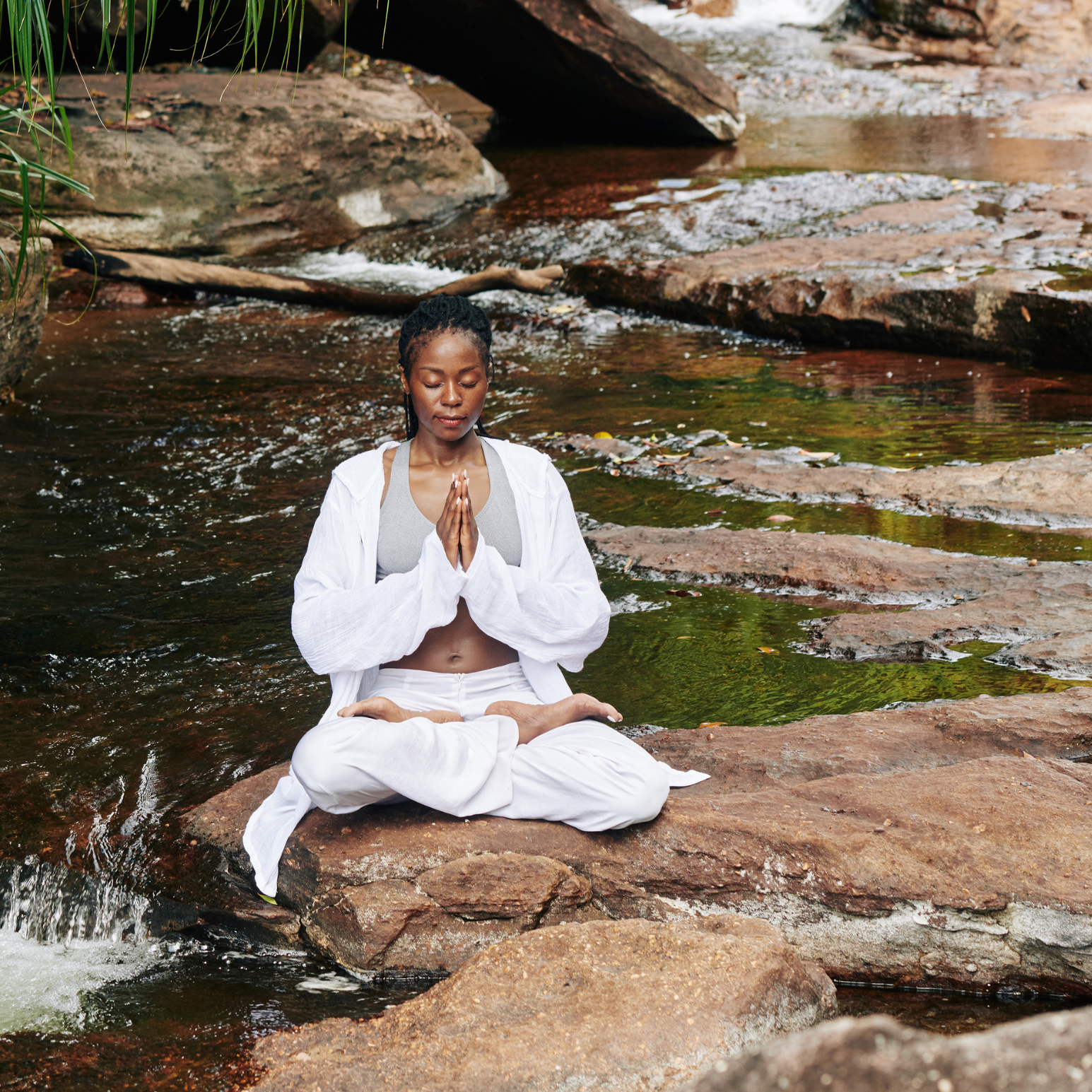 Re-wilding in nature, redwood adventure, and Redwood retreat in Northern California