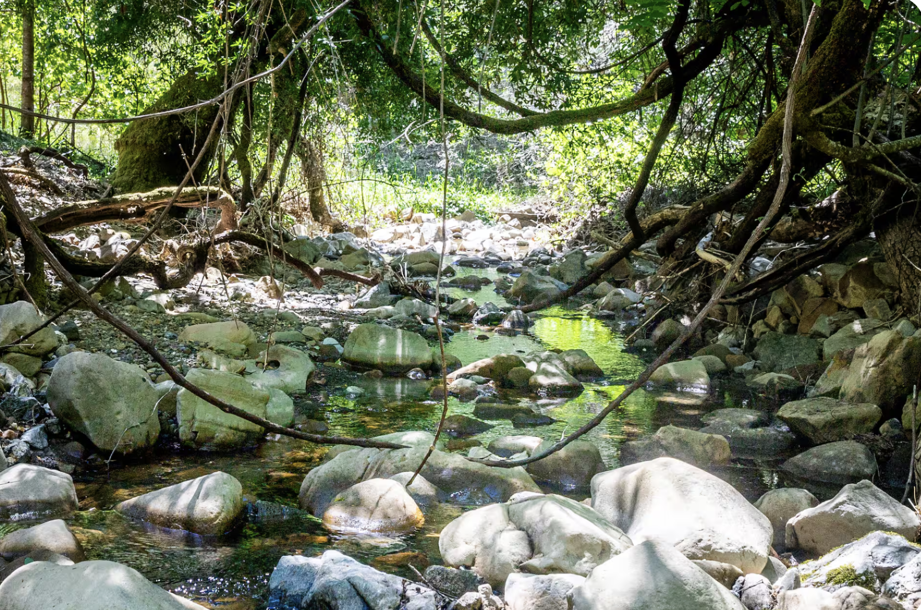 Tent & Car Camping ~ A beautiful way to immerse yourself in the wilderness experience. Enjoy full access to all retreat amenities, refrigerator, outdoor kitchens, shared indoor kitchen, stunning open-air showers, and clean toilets.