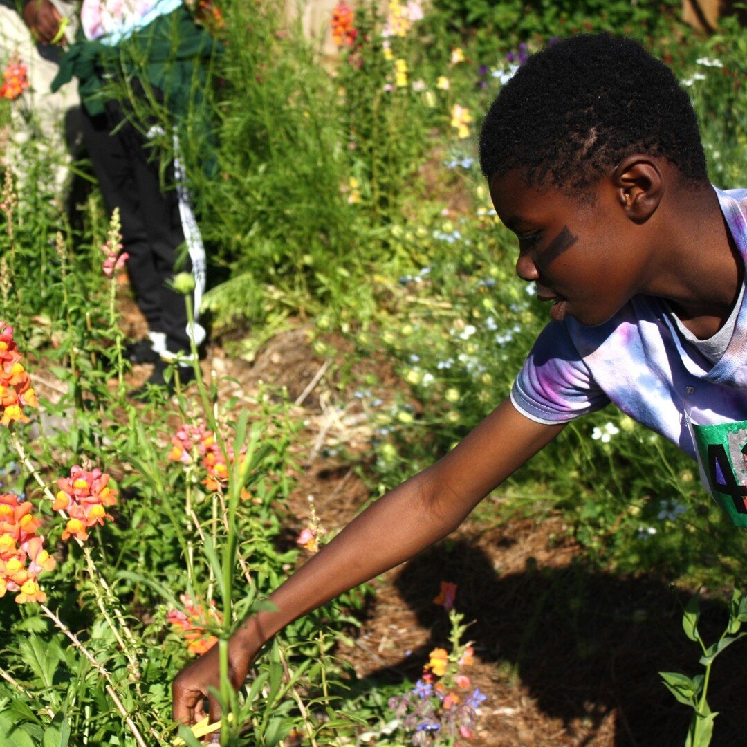 🌻✨Springtime at Son of a Saint has been blossoming with activity. 

From sharpening culinary skills in our CHOP cooking classes to hitting the courts with the AAU basketball team in Pensacola, exploring nature's bounty at Sugar Roots Farm, and embra