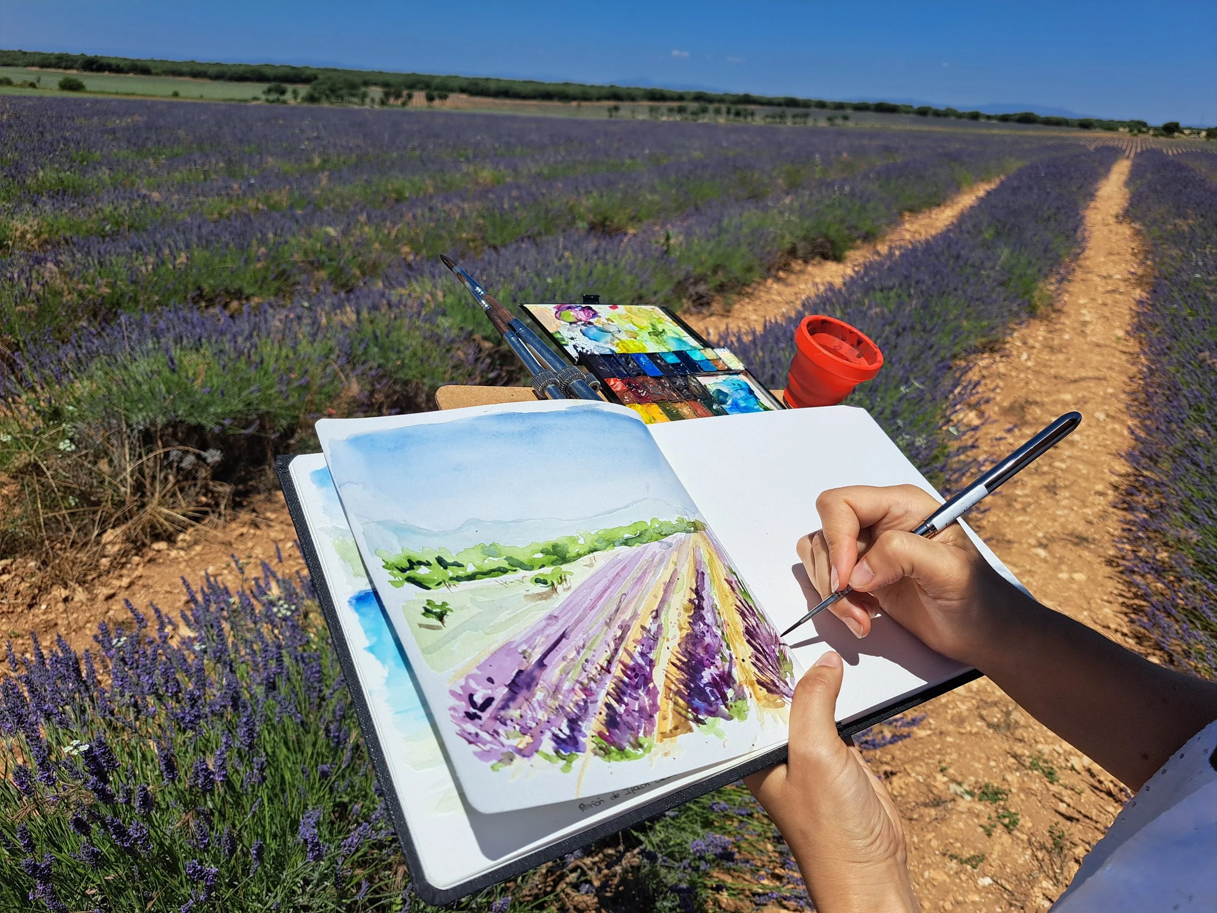 2024-07-04_13-17-02_496 (2024-07-09T11_22_27.449).jpeg