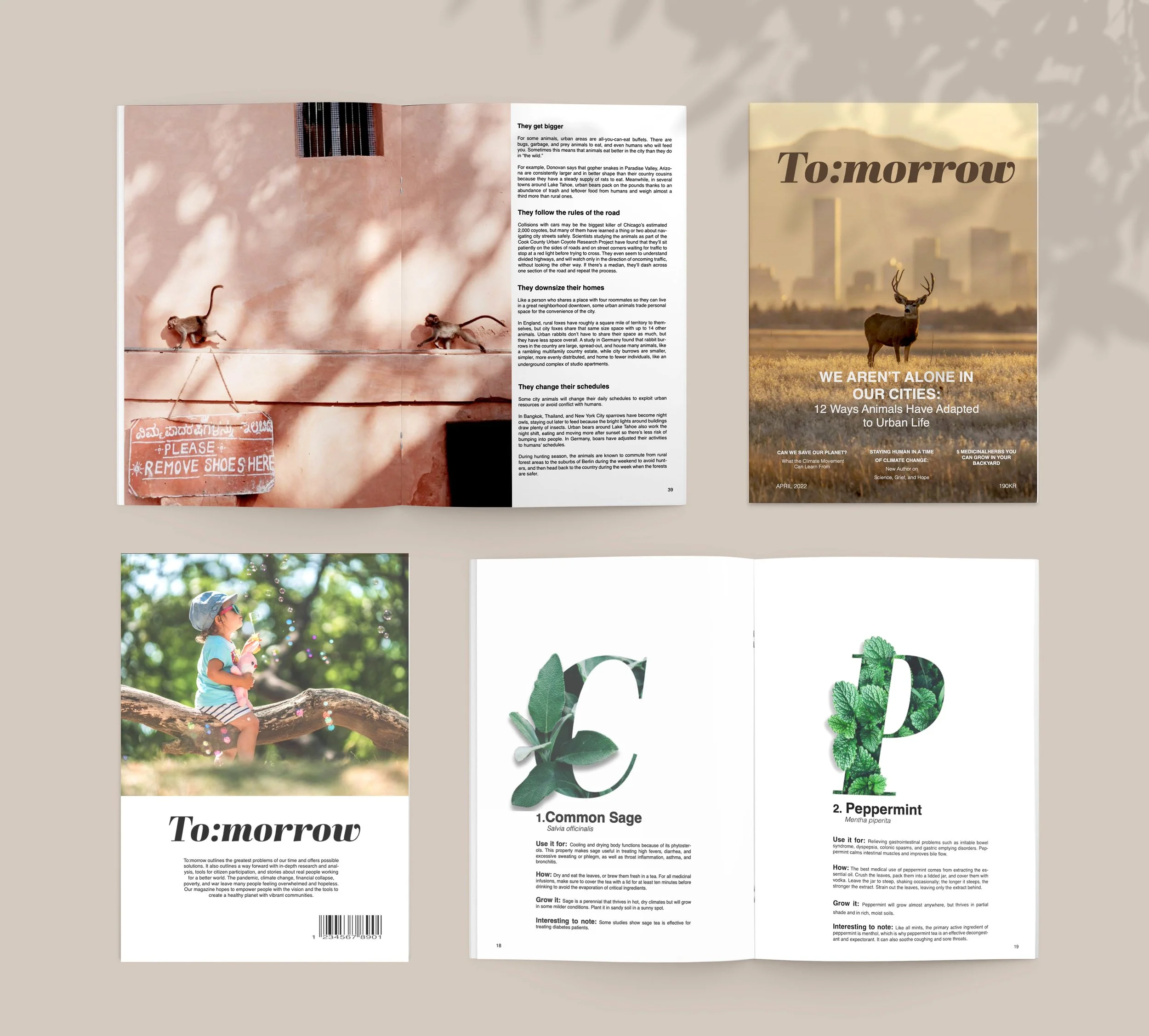 Bilde av åtte ulike natur- og byrelaterte publikasjoner, inkludert brosjyrer og magasiner, spredt ut på en nøytral bakgrunn, med fokus på dyr, planter og urbane miljøer av Grafisk designer Ronja Maria Falch.