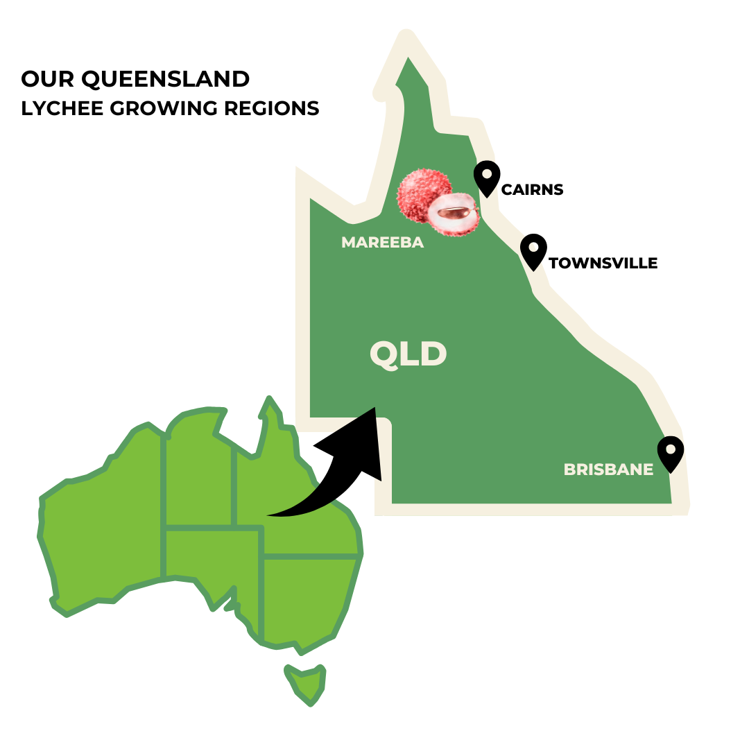 Lychee — Aus Produce Partners