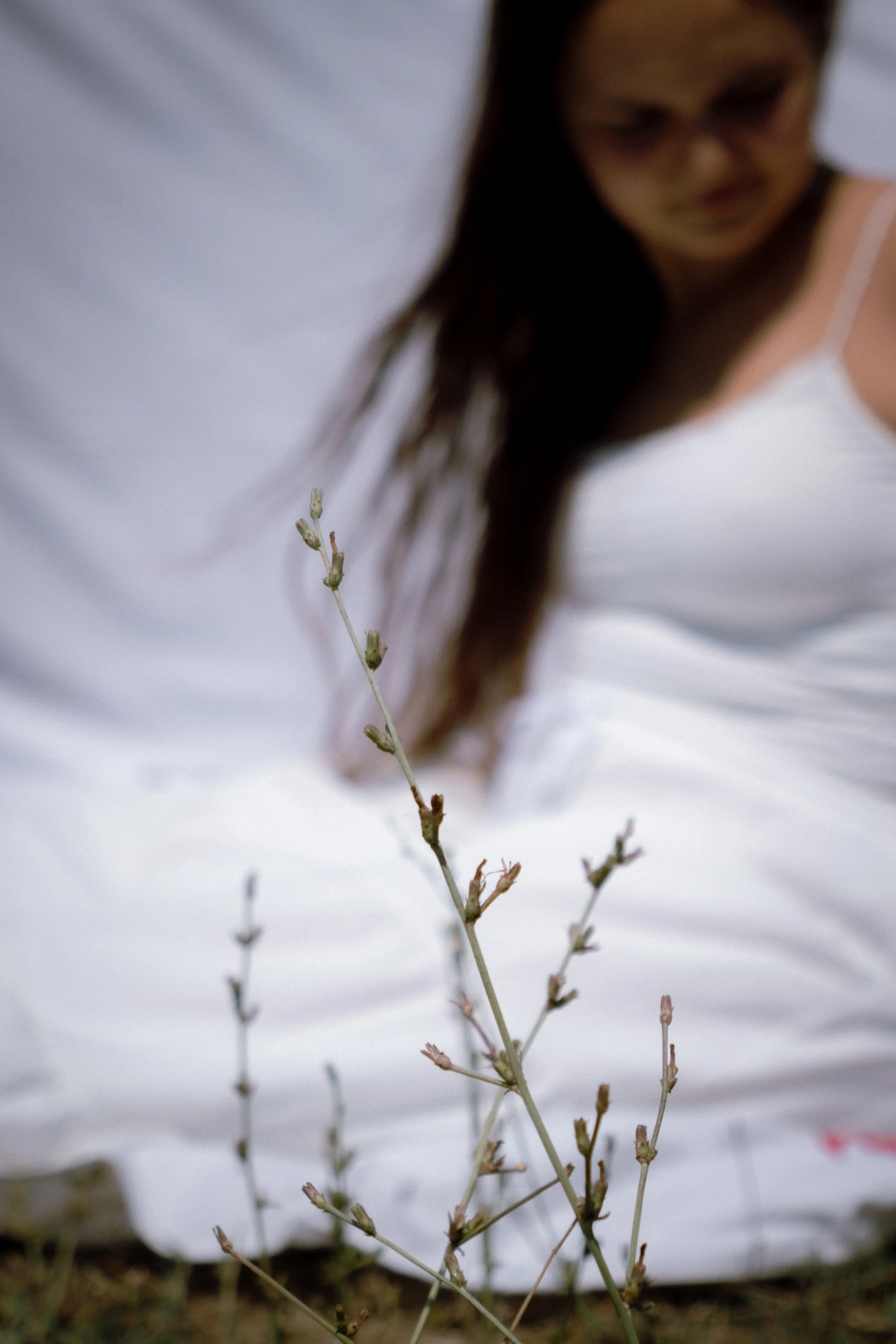 Portrait photography. A woman in a white dress looking down at a small plant with several branches in the foreground.