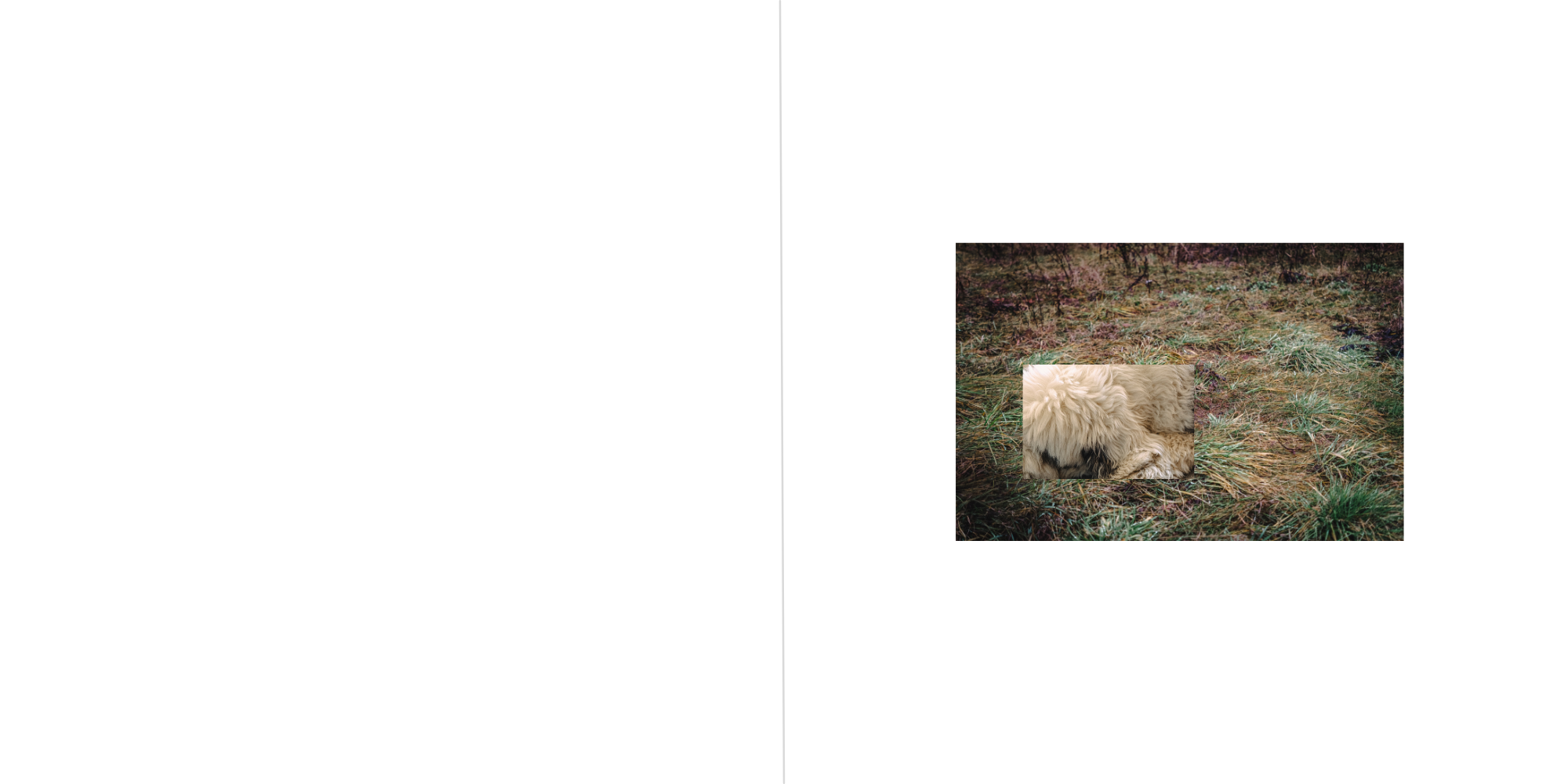 21.png