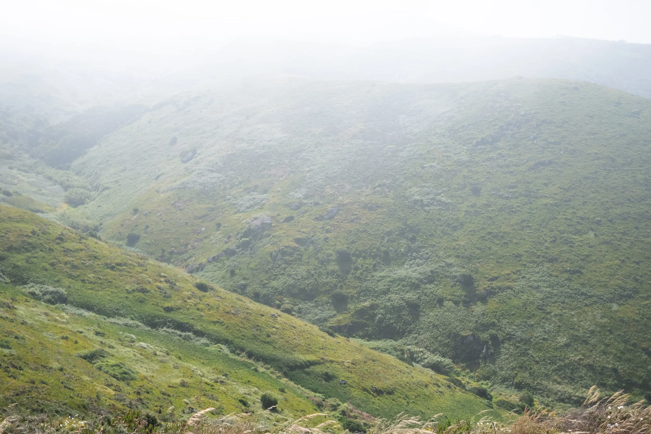 Green rolling hills with sparse vegetation, shrouded in light fog or mist.