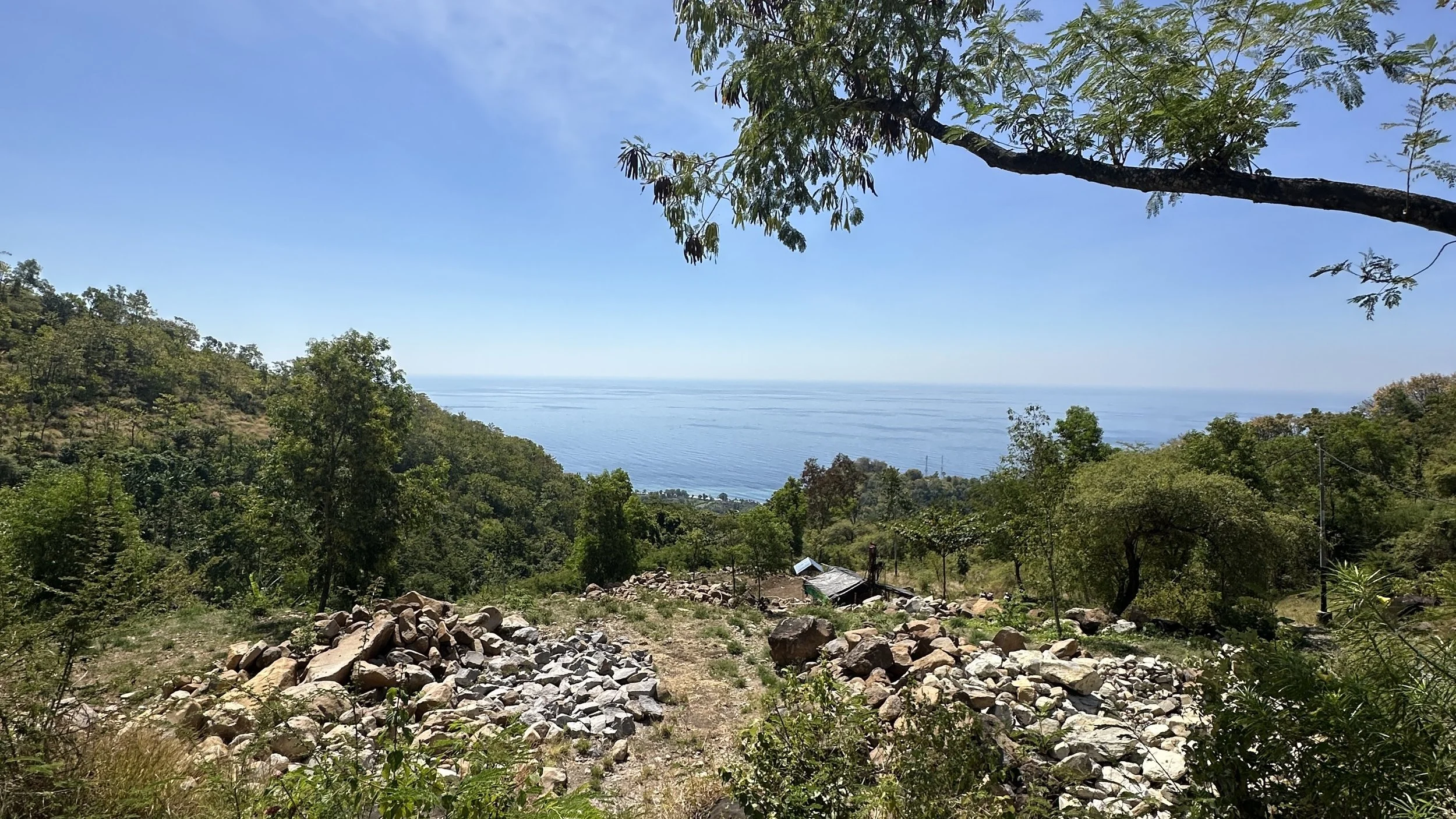 A scenic view of a hillside with trees and rocks overlooking a body of water under a clear, blue sky.