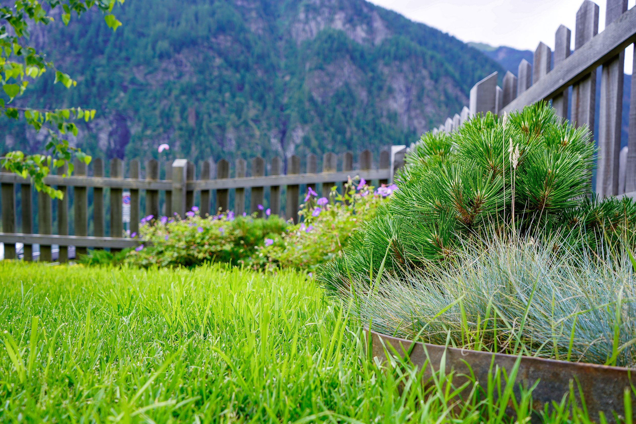 Menara Mariano Campitello (3).jpg