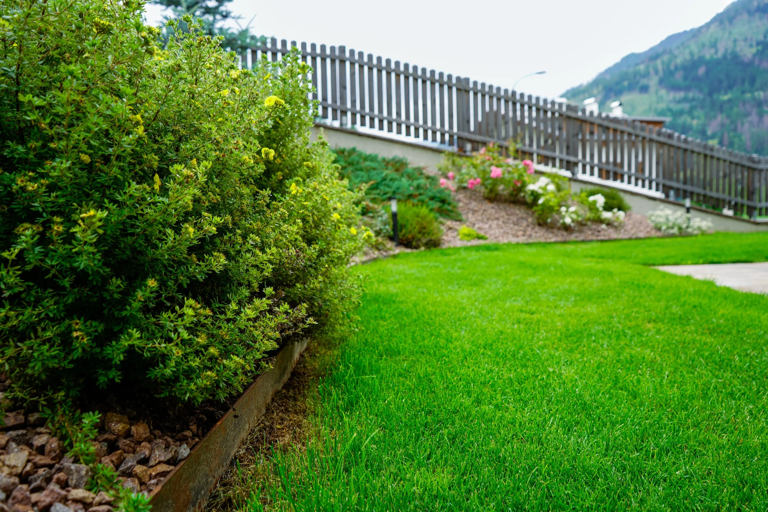 Moena Piccagli Dino (3).jpg