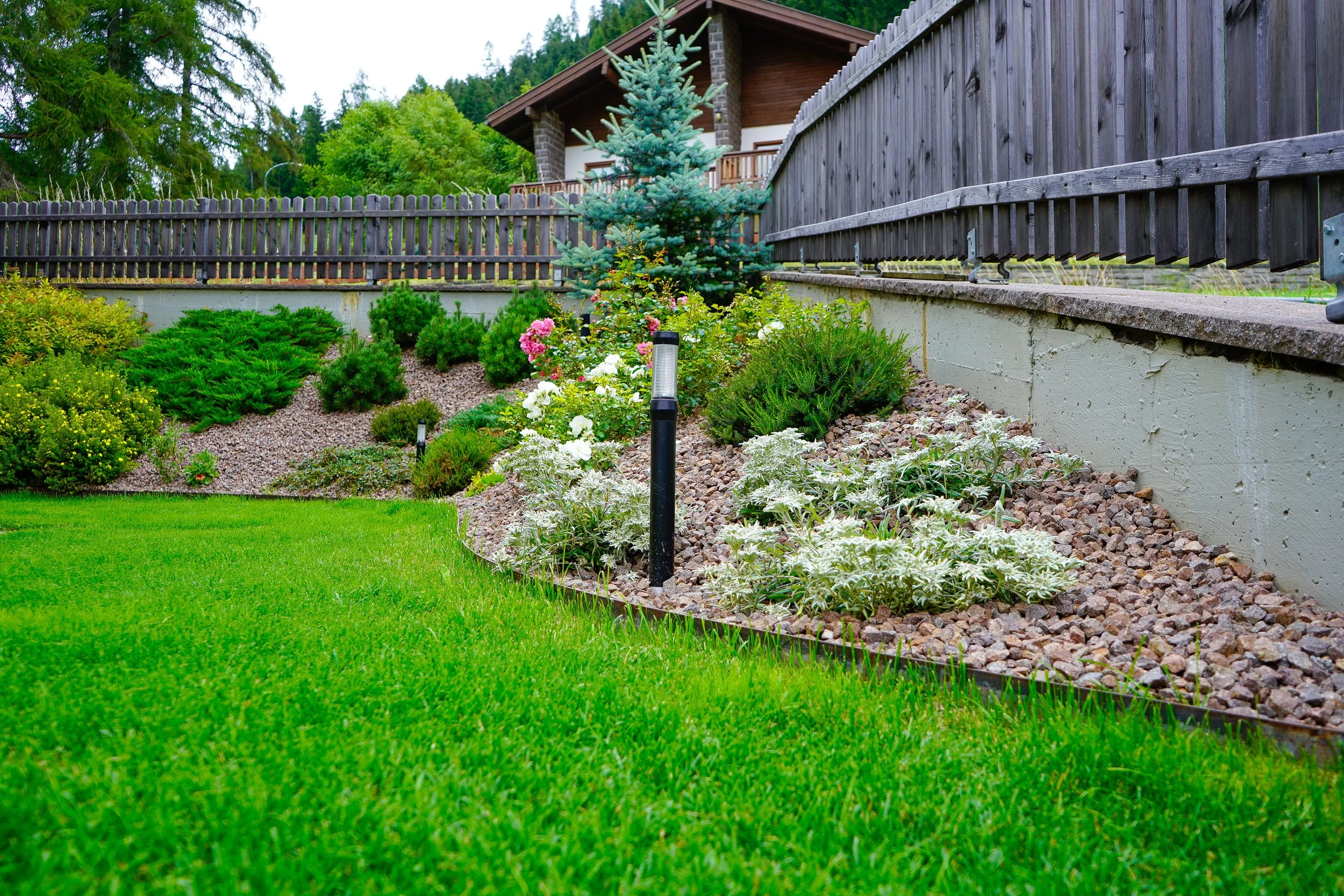 Moena Piccagli Dino (1).jpg