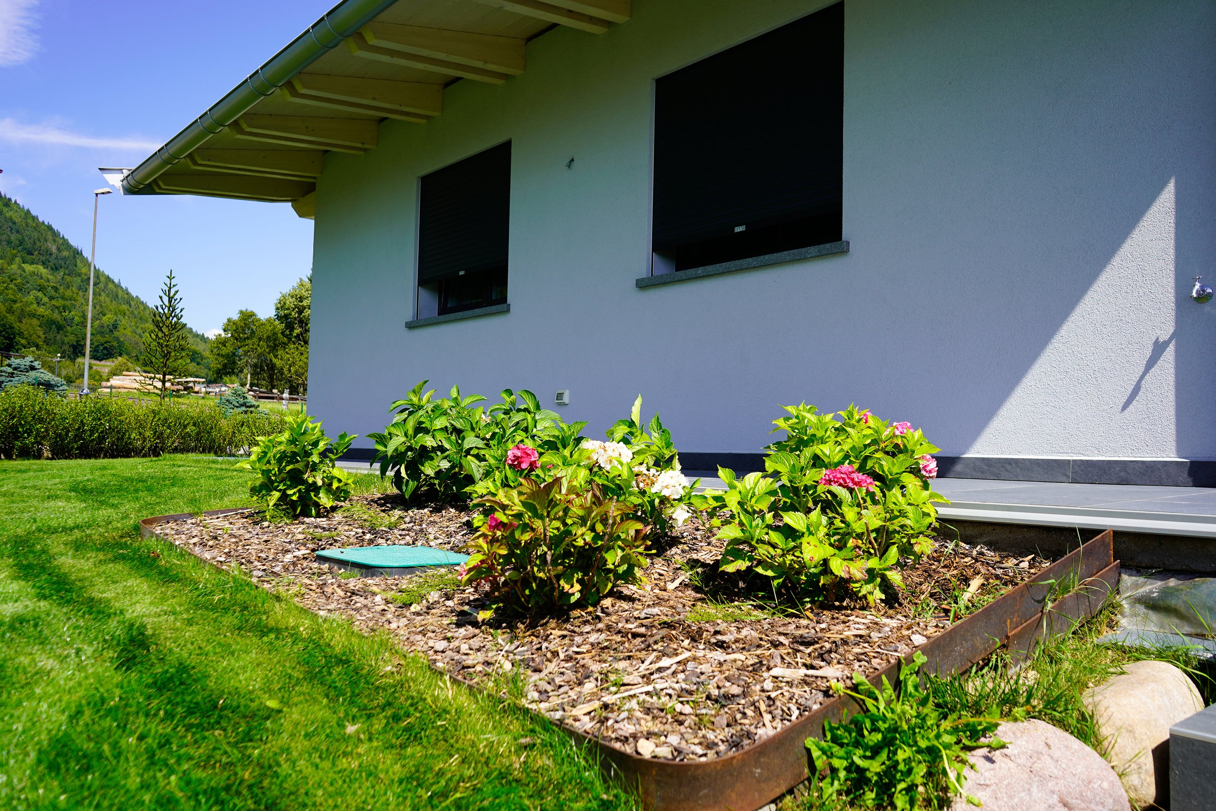 Baselga - Dallapiccola Daniele (6).jpg