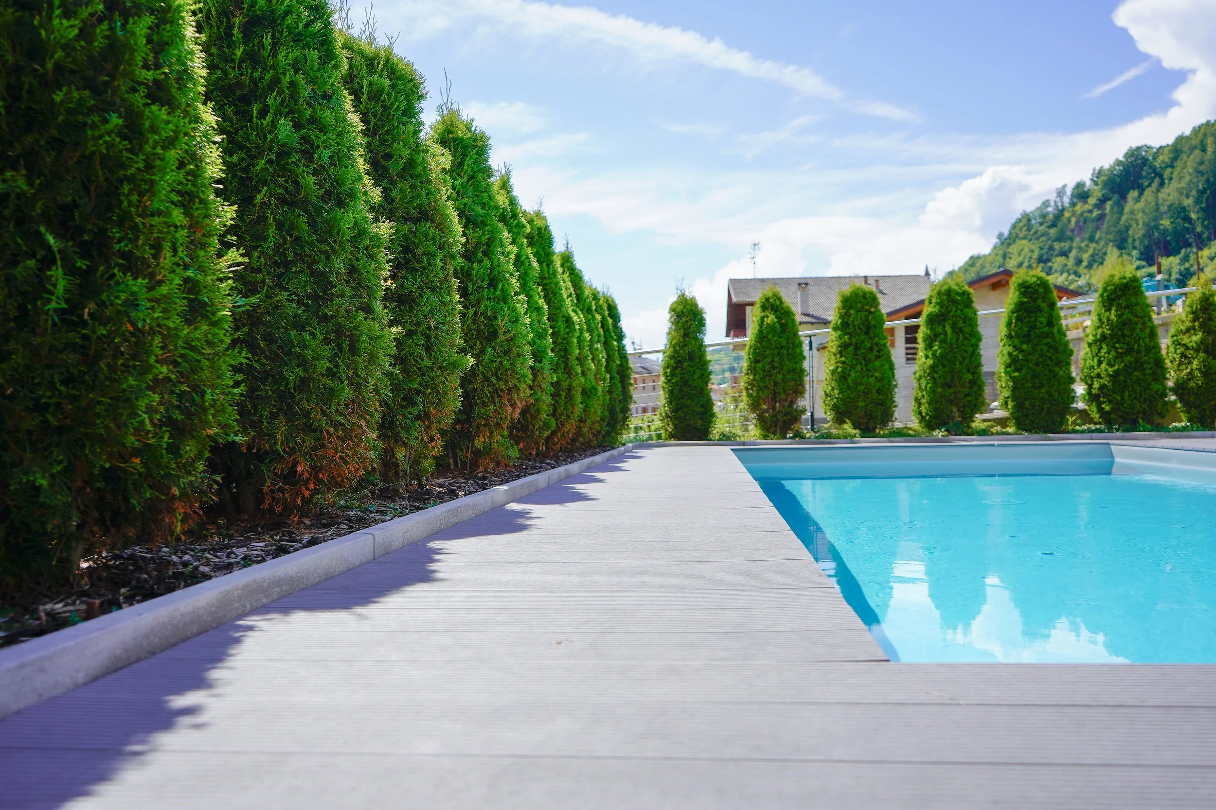 Baselga - Dallapiccola Daniele (13).jpg