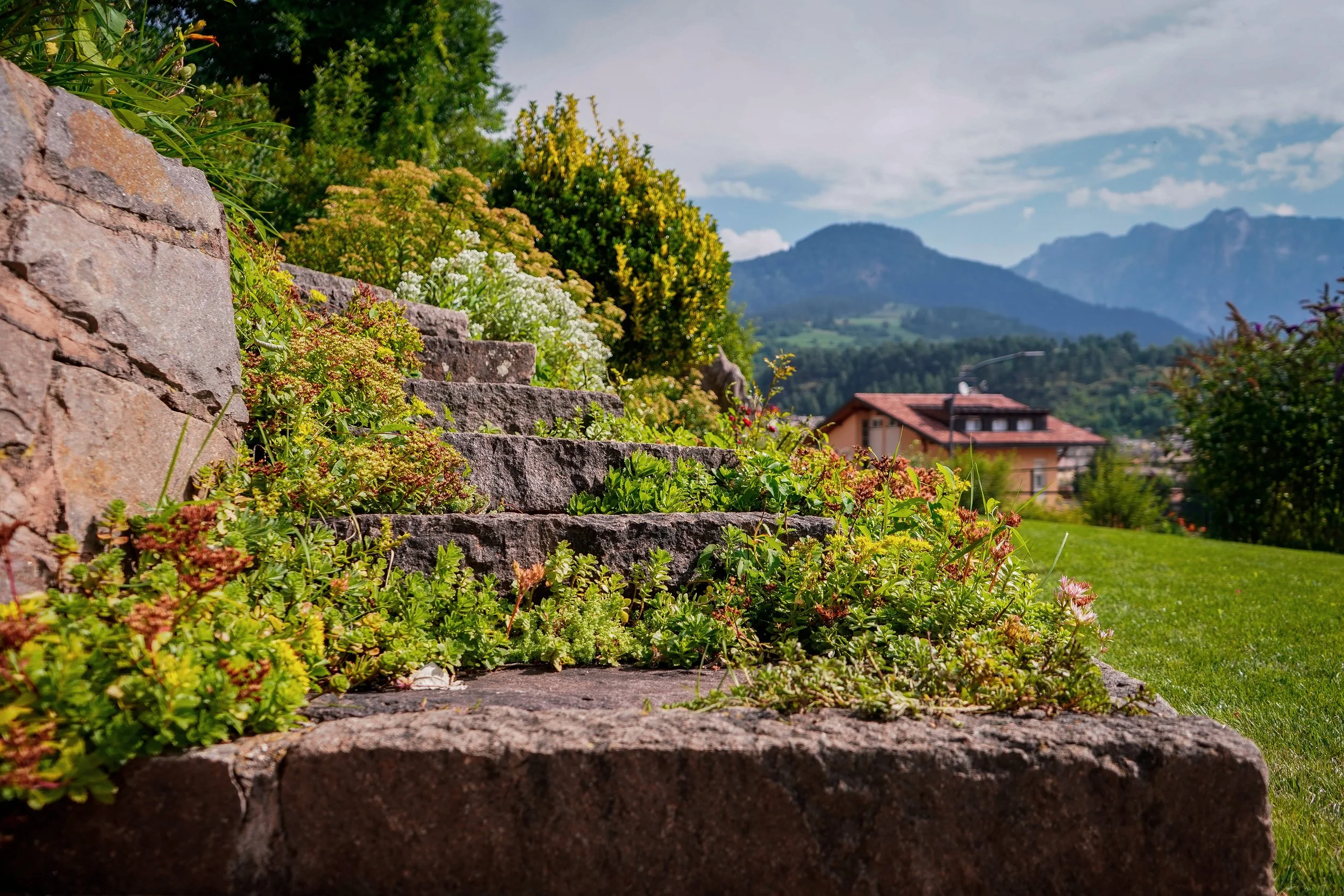 CAVALESE - DU TOIT (4).jpg