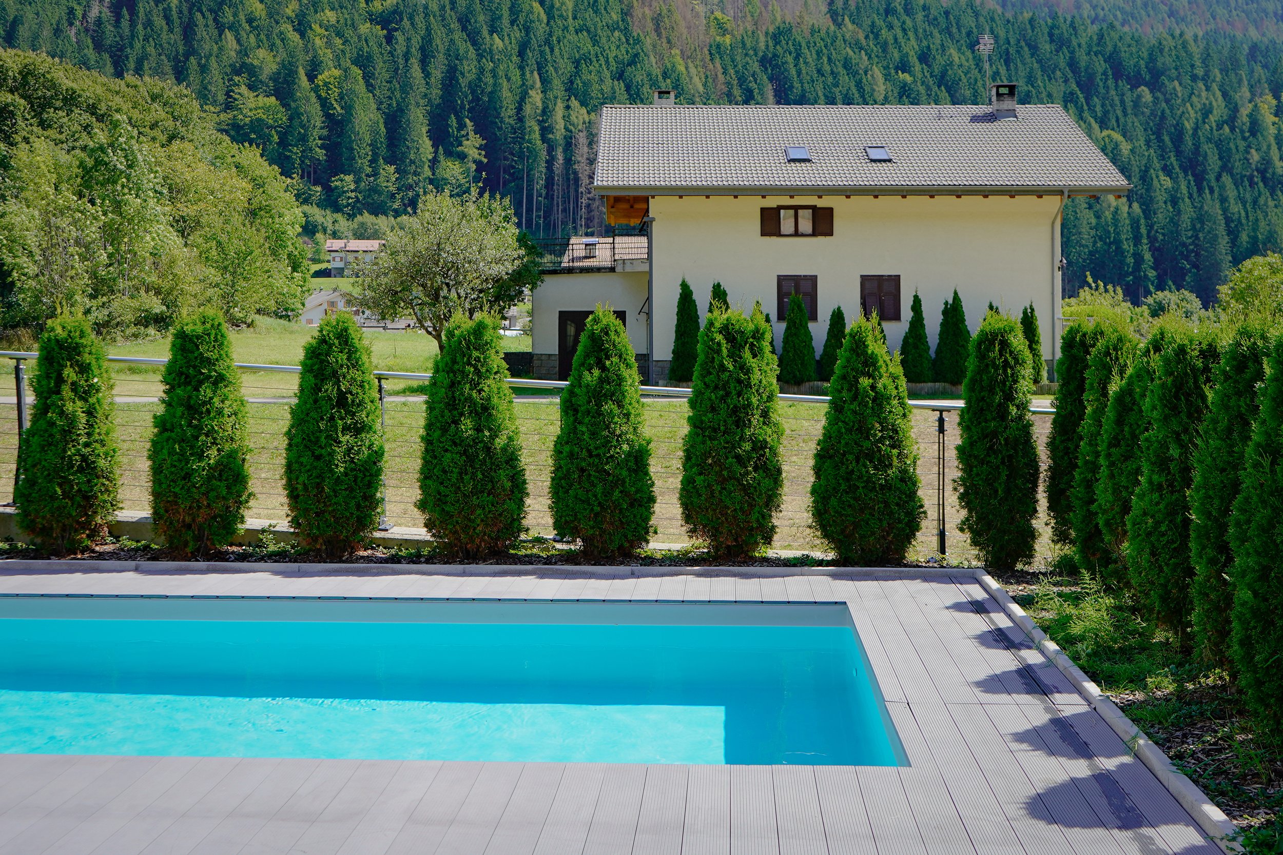 Baselga - Dallapiccola Daniele (17).jpg