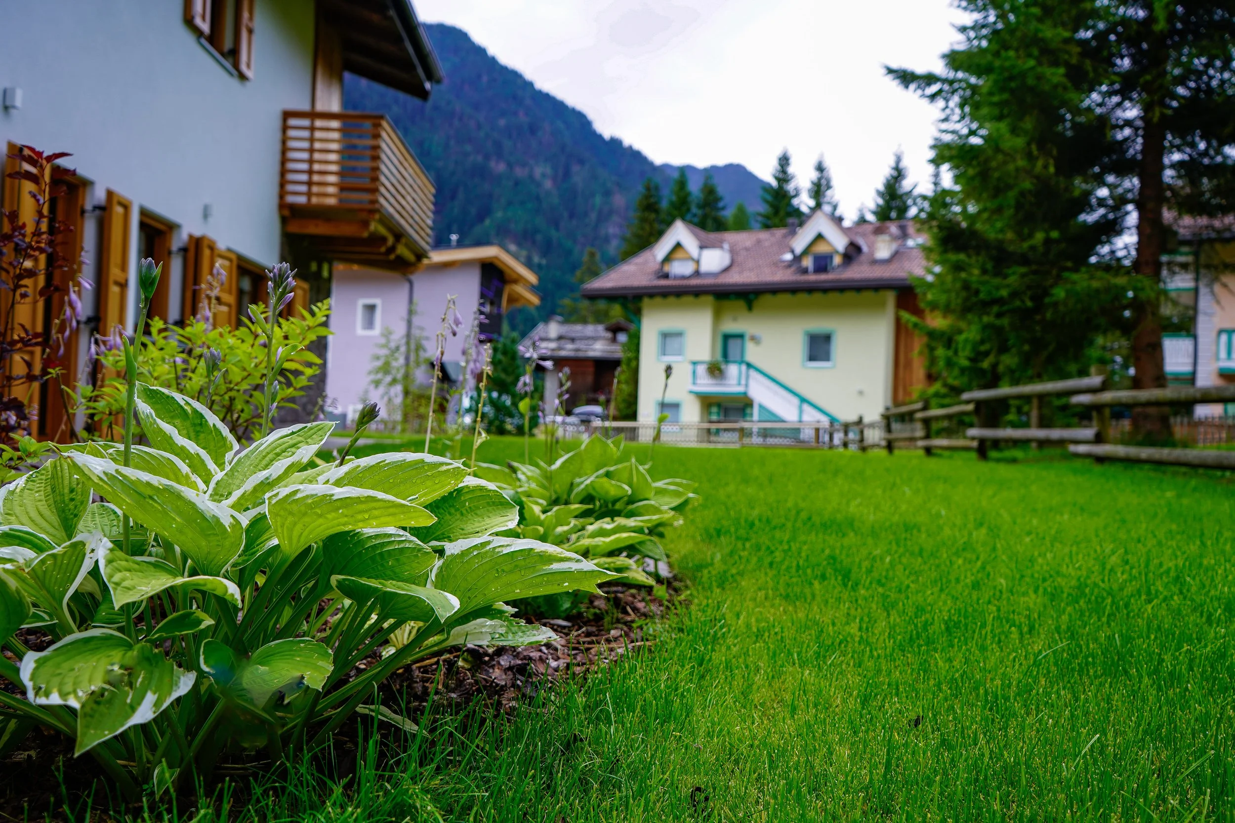 Girotti Montalbini Campitello (4).jpg