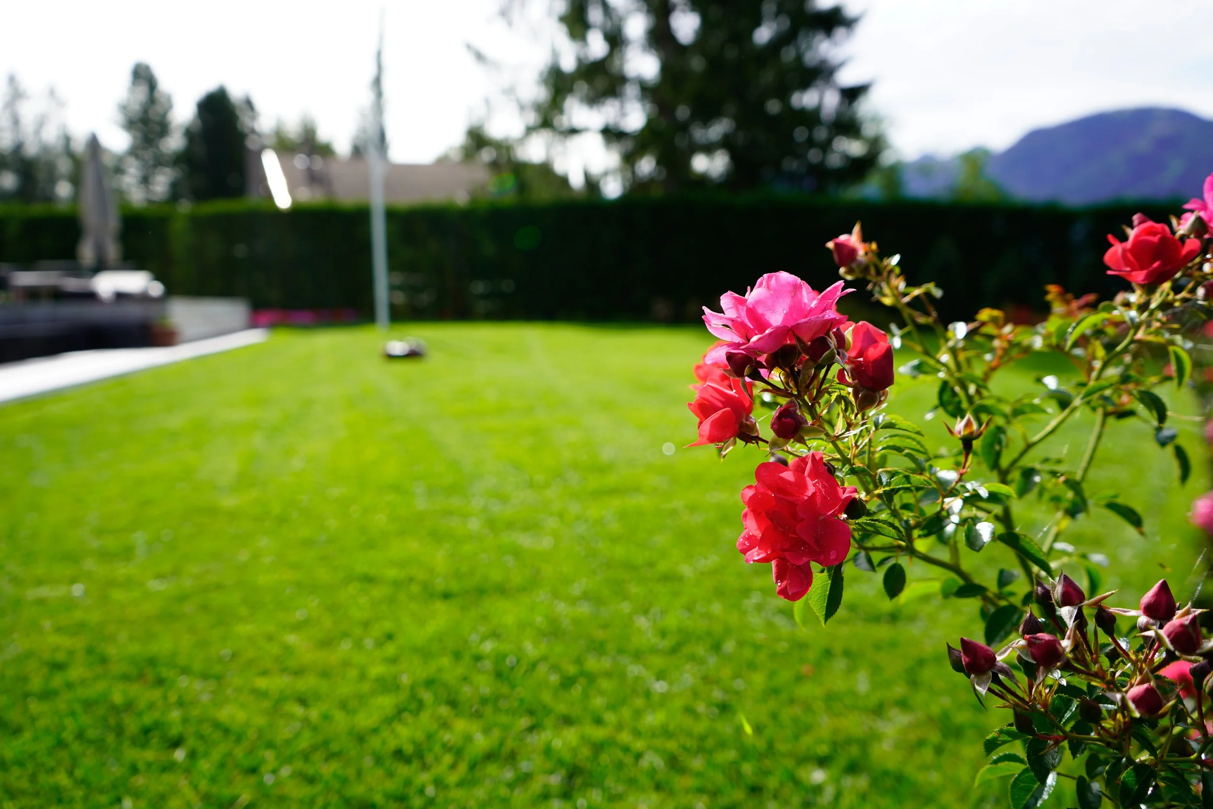 Delladio Marco - Cavalese (4).jpg