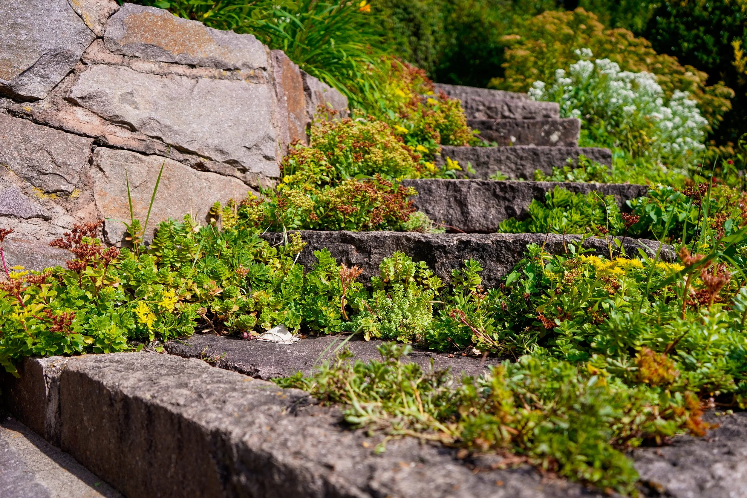 CAVALESE - DU TOIT (3).jpg